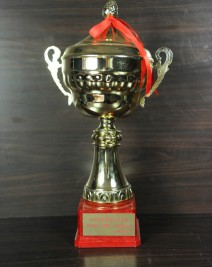 2006年度先進會員企業獎牌