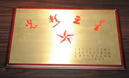 2007年“光彩之星”獎牌